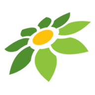 JOY APK MOD
